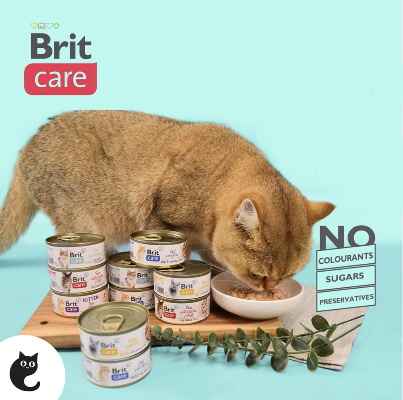 brit-care-canned food
